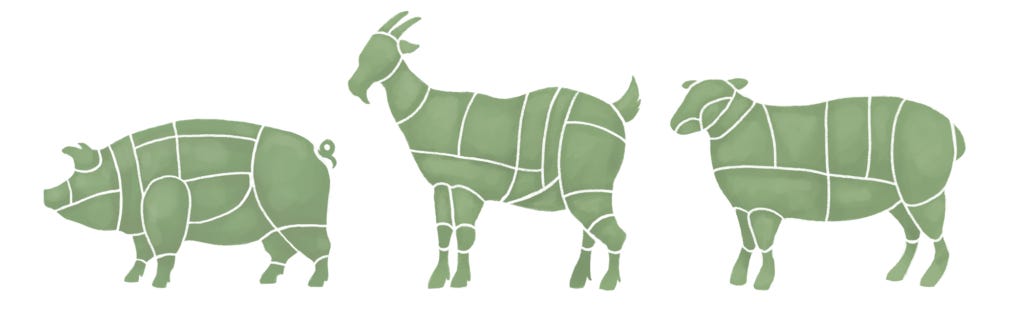 Butcher Illustrations - Pork, Goat and Lamb