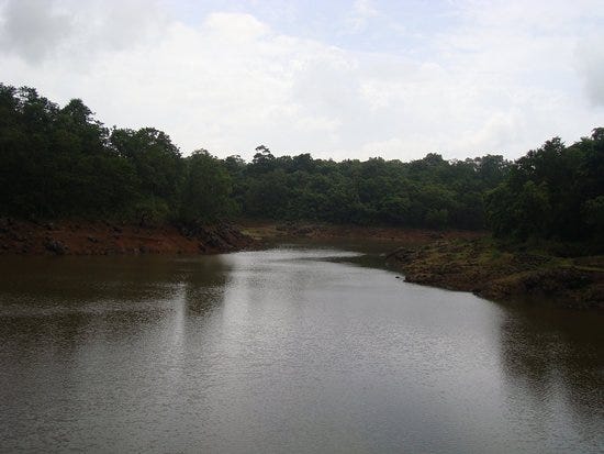 Asurankundu Dam (Thrissur) - 2021 All You Need to Know BEFORE You Go |  Tours &amp; Tickets (with Photos) - Tripadvisor