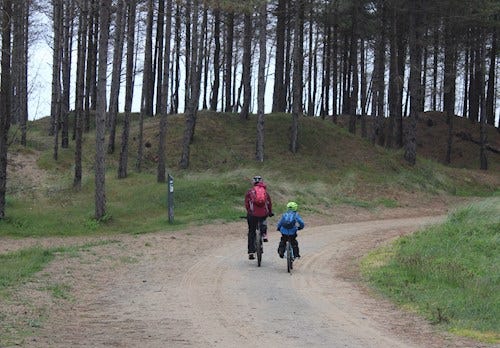 Man and child cycling in Newborough Forest