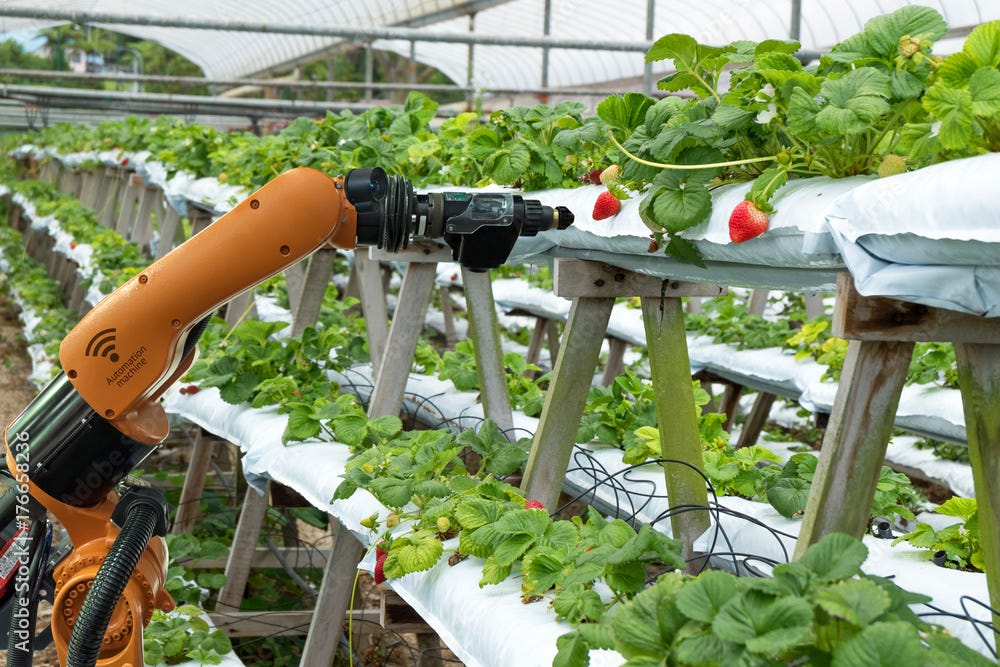 Agriculture vertical farming technology , artificial intelligence precision  concepts, Farmer use smart farm automation robot assistant image processing  for detection weed ,spray chemical. – Stock-Foto | Adobe Stock