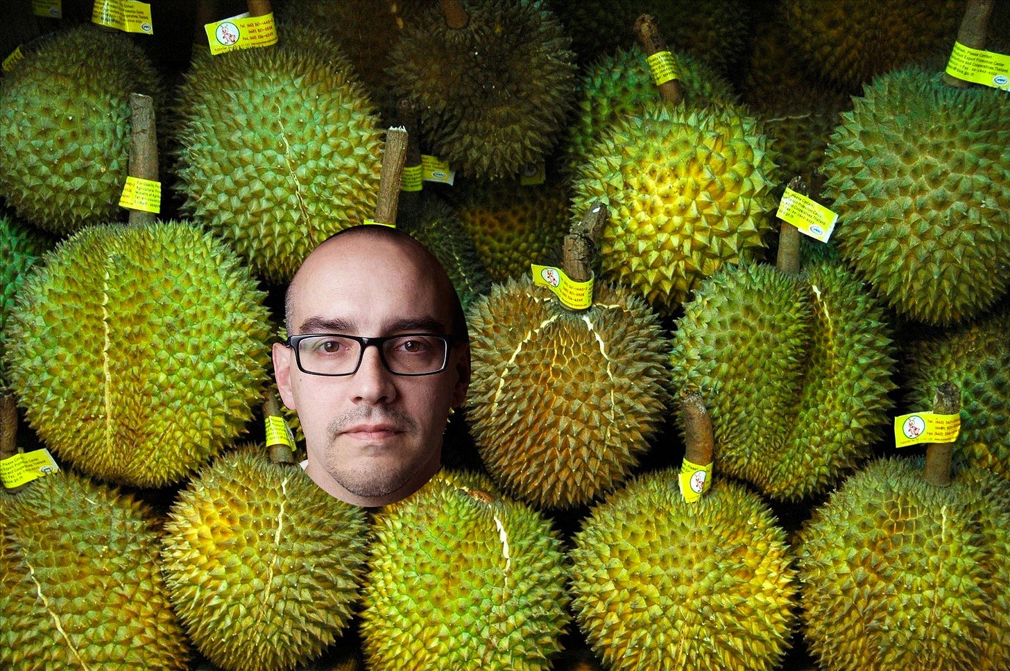 dave mcclure 500 durians