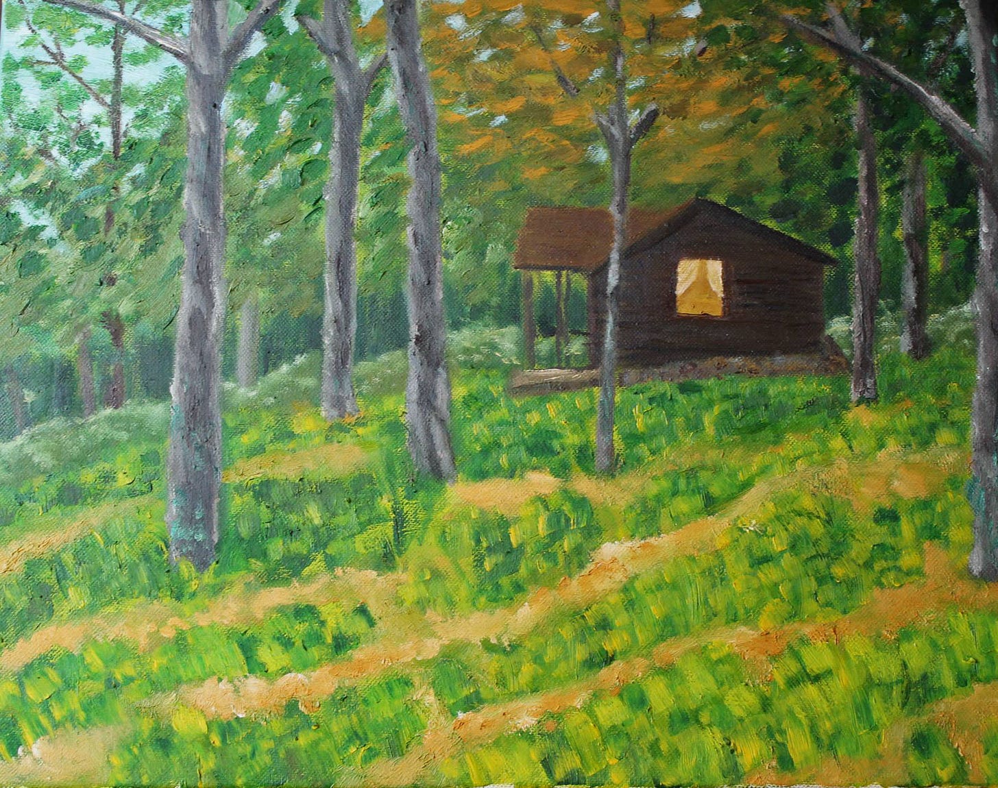 A grove of trees with grass and light-colored soil in front of a wood cabin with an open window