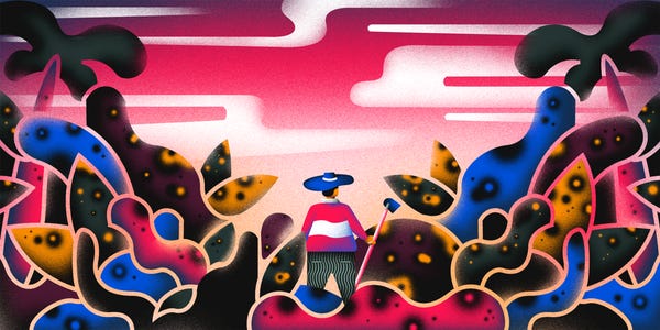 The Hidden Struggle to Save the Coffee Industry From Disaster