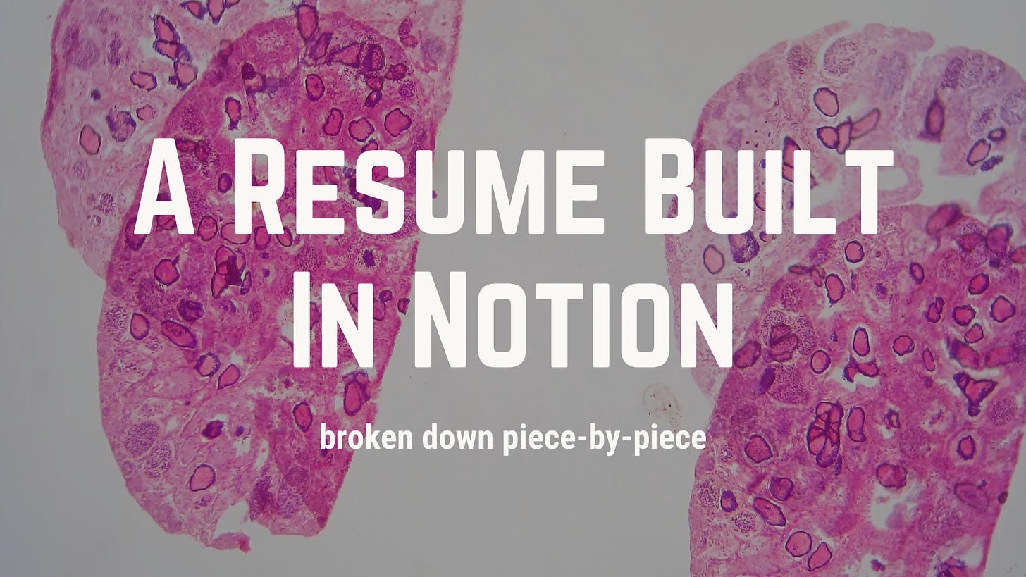 Building a Resume in Notion