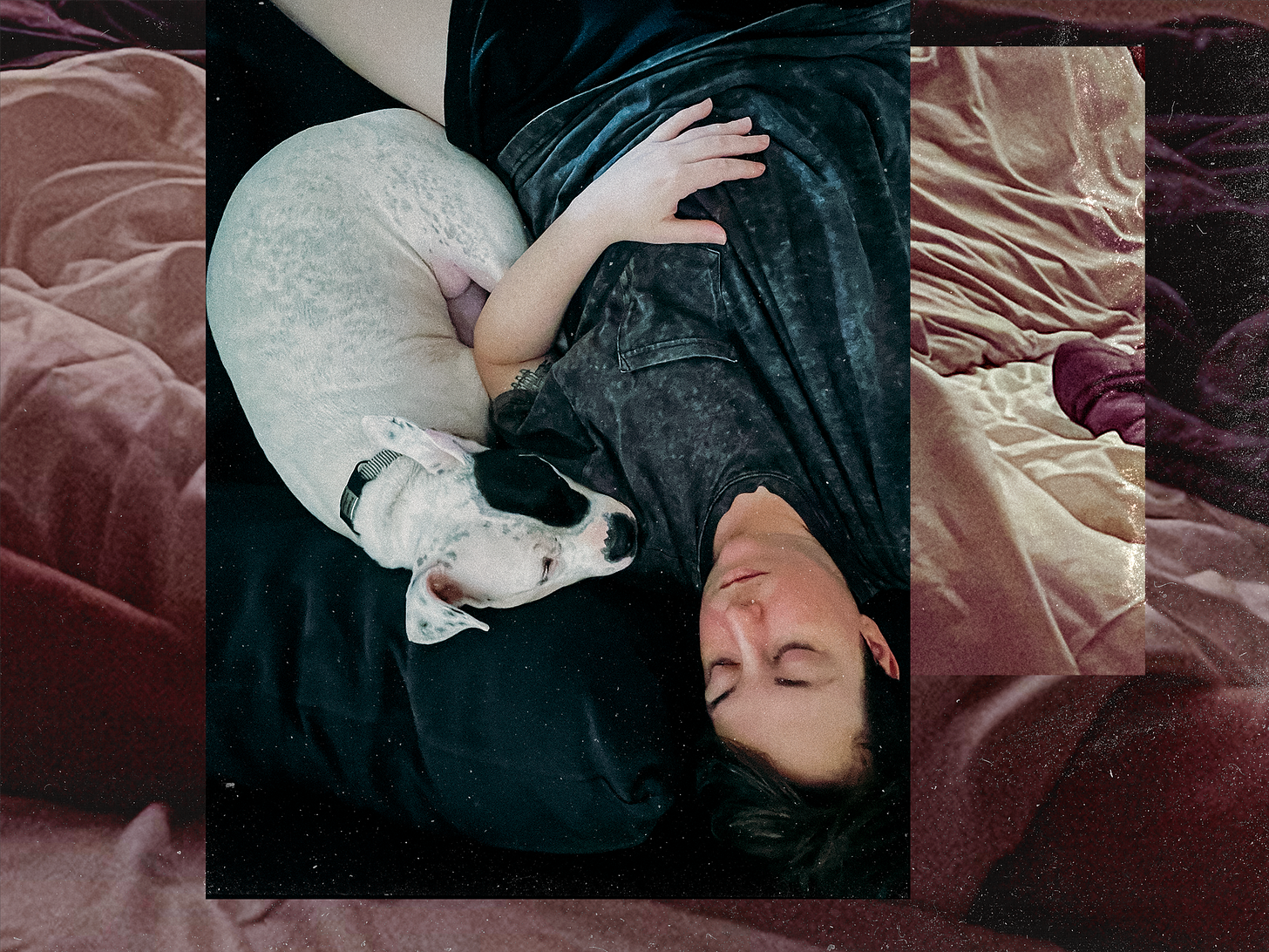 jess lays with their dog tato, both eyes closed. the image is upside down and on top of a dark close-up of crumpled sheets