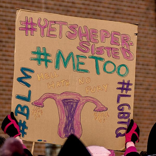 File:-BLM -METOO -YETSHEPERSISTED -LGBTQ -WomensMarch -WomensMarch2018 -SenecaFalls -NY (39807550621).jpg