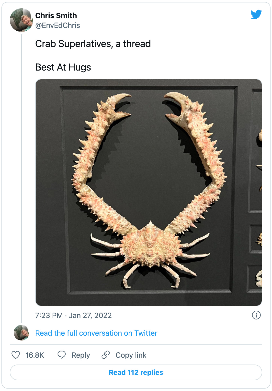 @EnvEdChris tweets: “Crab Superlatives, a thread. Best At Hugs:” with a picture of a spiky white crab with incredibly long front claws. The rest of the thread has many more excellent crabs.