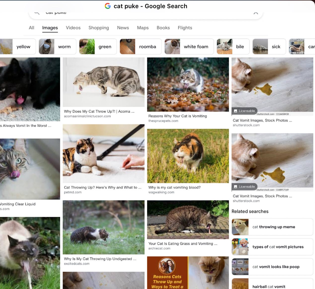 Image search on google for cat puke