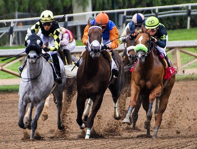 Learn How Handicapping Works in A Horse Race And Be A Successful Bettor -  MarylandReporter.com