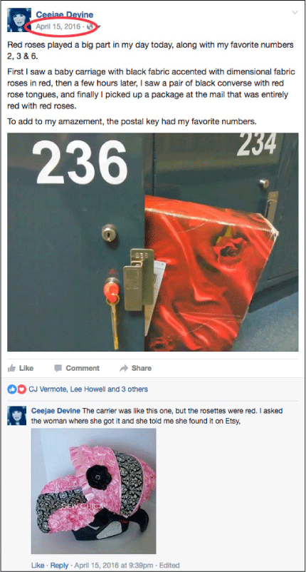 Screenshot of my Facebook post showing the locker #236, the red, rose patterned package, and an example of the baby carrier (though all I could find was pink).