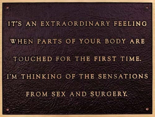 Image result for jenny holzer sex and surgery