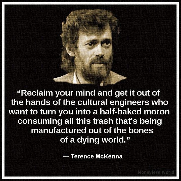 46 best images about Terence McKenna on Pinterest ...