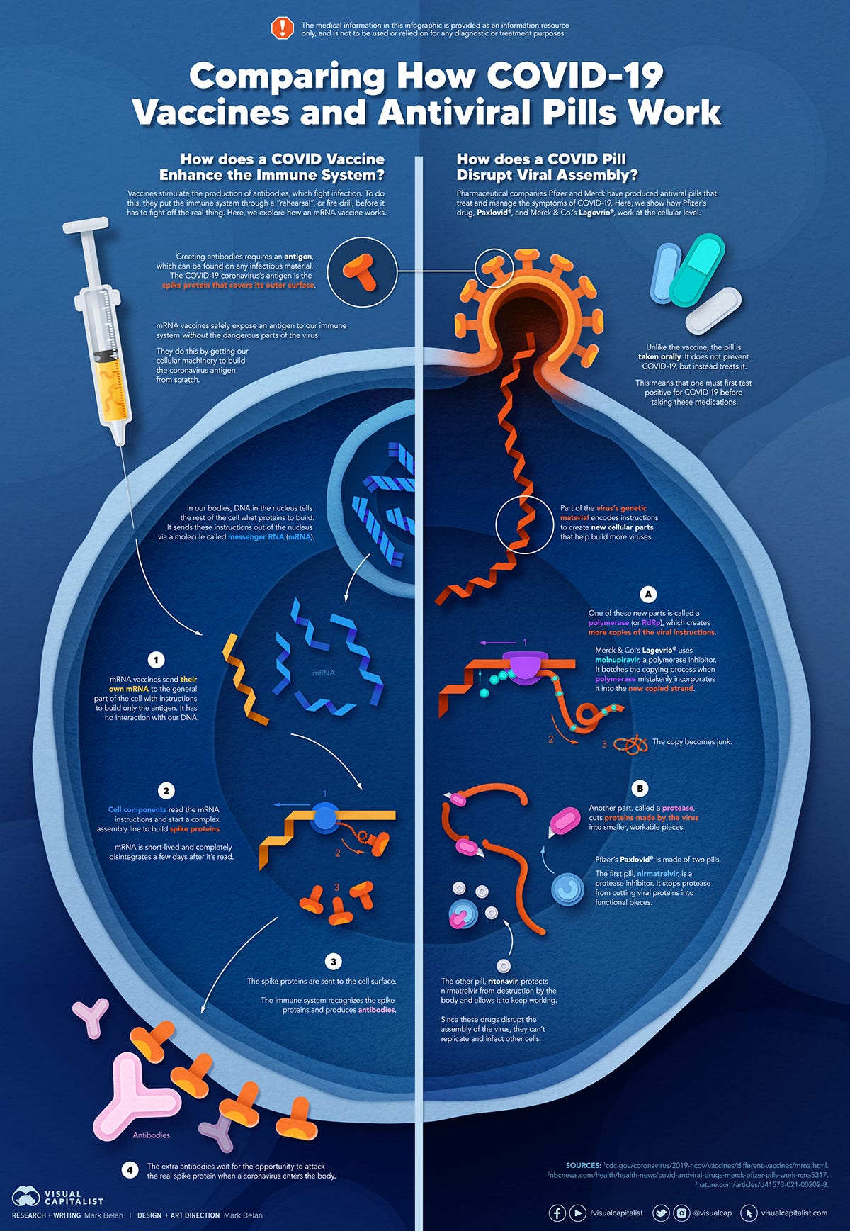 Comparing How COVID Antiviral Pills and Vaccines Work