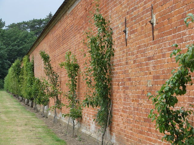 Outer wall of the walled garden at Holkham Hall by Sarah Charlesworth