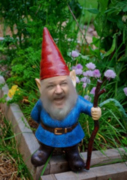 Julian Assange as a garden gnome 