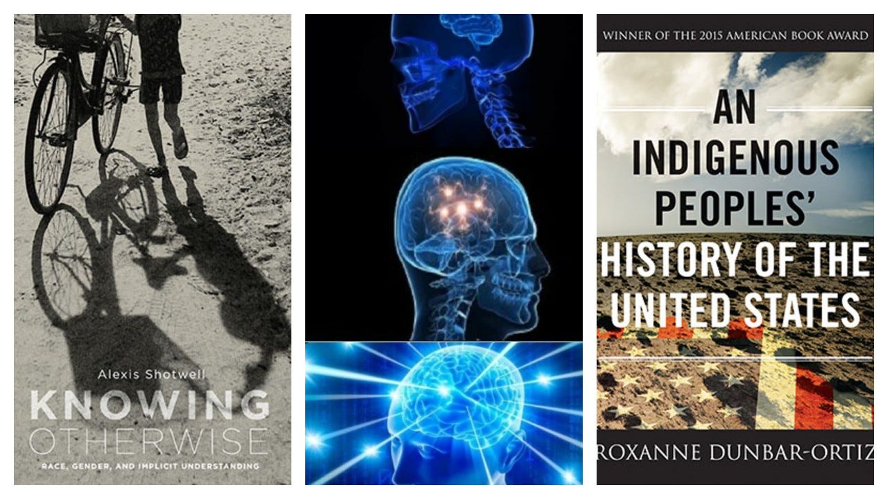 cover of Knowing Otherwise and An Indigenous People's History of the United States with the galaxy brain meme in between them