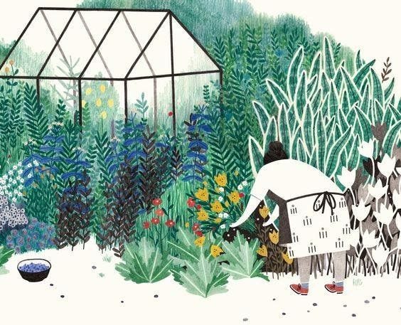 greenhouse + garden | Garden illustration, Illustration art, Drawings