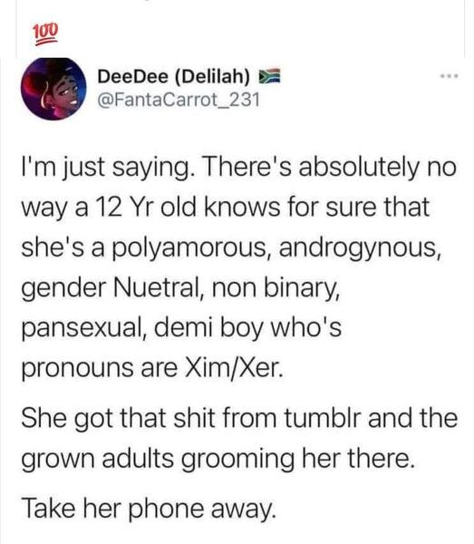 May be an image of 1 person and text that says '100 DeeDee (Delilah) @FantaCarrot_231 I'm just saying. There's absolutely no way a 12 Yr old knows for sure that she's a polyamorous, androgynous, gender Nuetral, non binary, pansexual, demi boy who's pronouns are Xim/Xer. She got that shit from tumblr and the grown adults grooming her there. Take her phone away.'