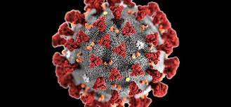 UofL breakthrough technology shows promise fighting novel coronavirus |  UofL News