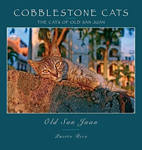 Cobblestone Cats - Puerto Rico: The Cats of Old San Juan (2nd ed.):  Panattoni, Alan: 9780991230051: Amazon.com: Books