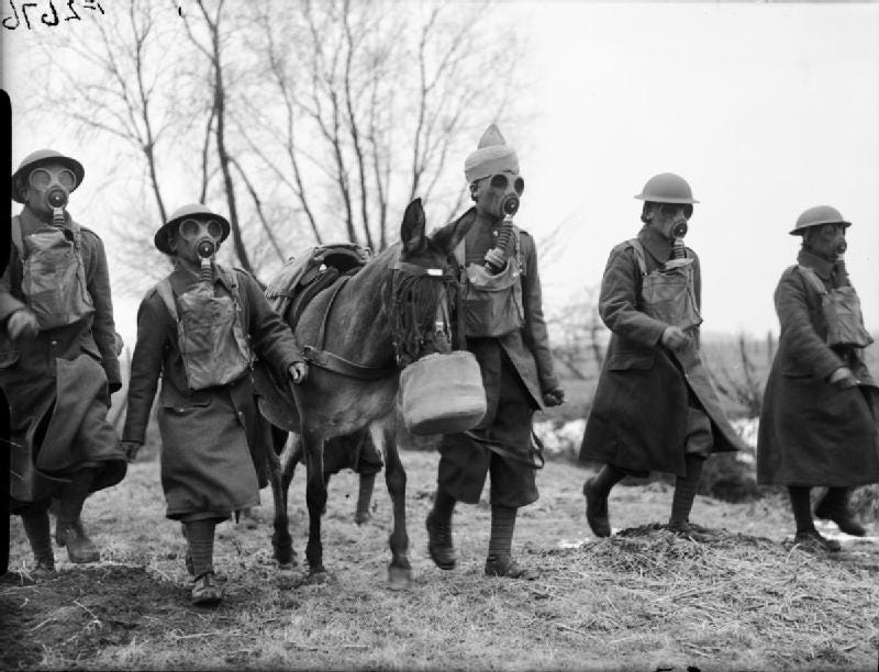 Indian muleteers and mule with gas masks in France