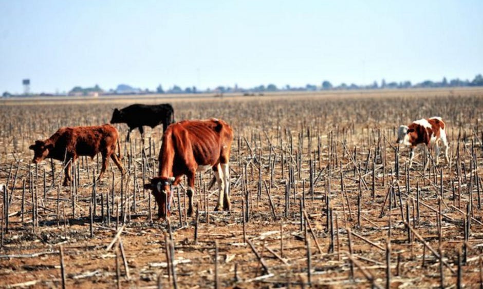 Drought in Southern Africa 2015 -