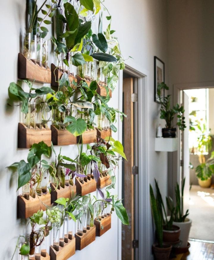 41 Awesome Plant Wall Ideas & How to Build a DIY Plant Wall