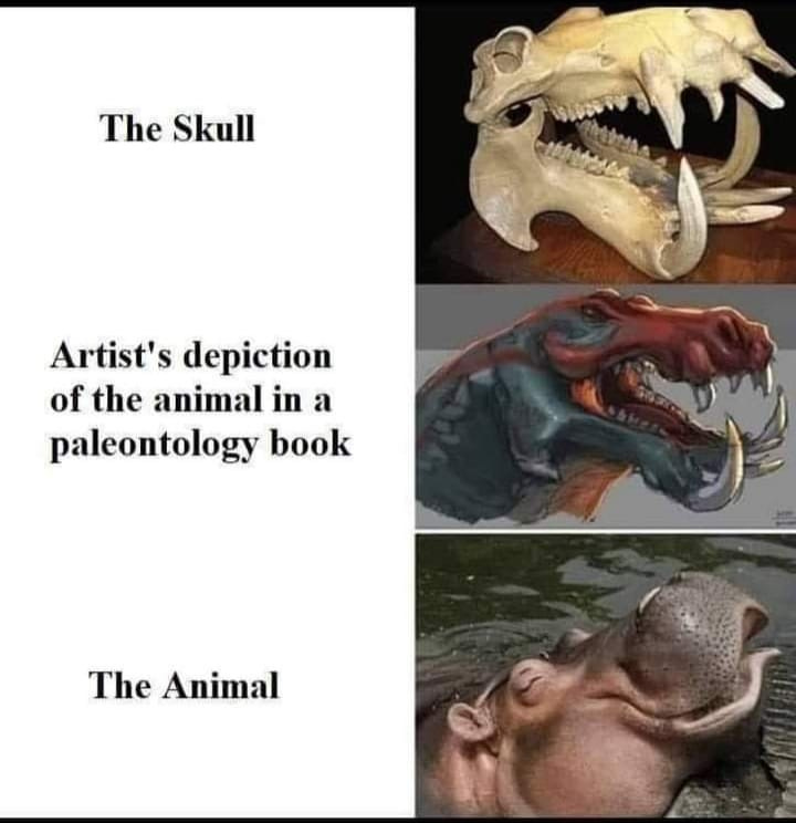 May be an image of text that says "The Skull Artist's depiction of the animal in a paleontology book The Animal"