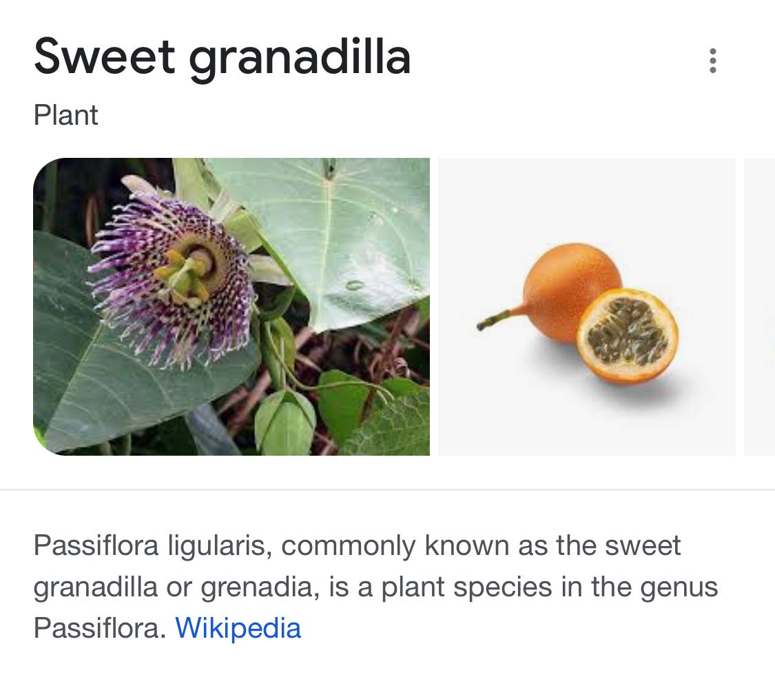 Screengrab of the Wikipedia page for the sweet granadilla food showing an image of a passion flower and one of the fruit