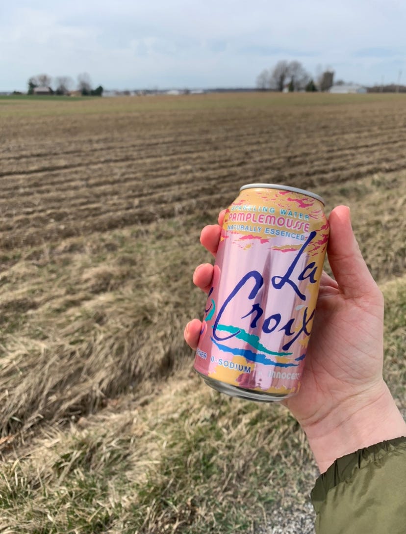 hand holding la croix in front of field
