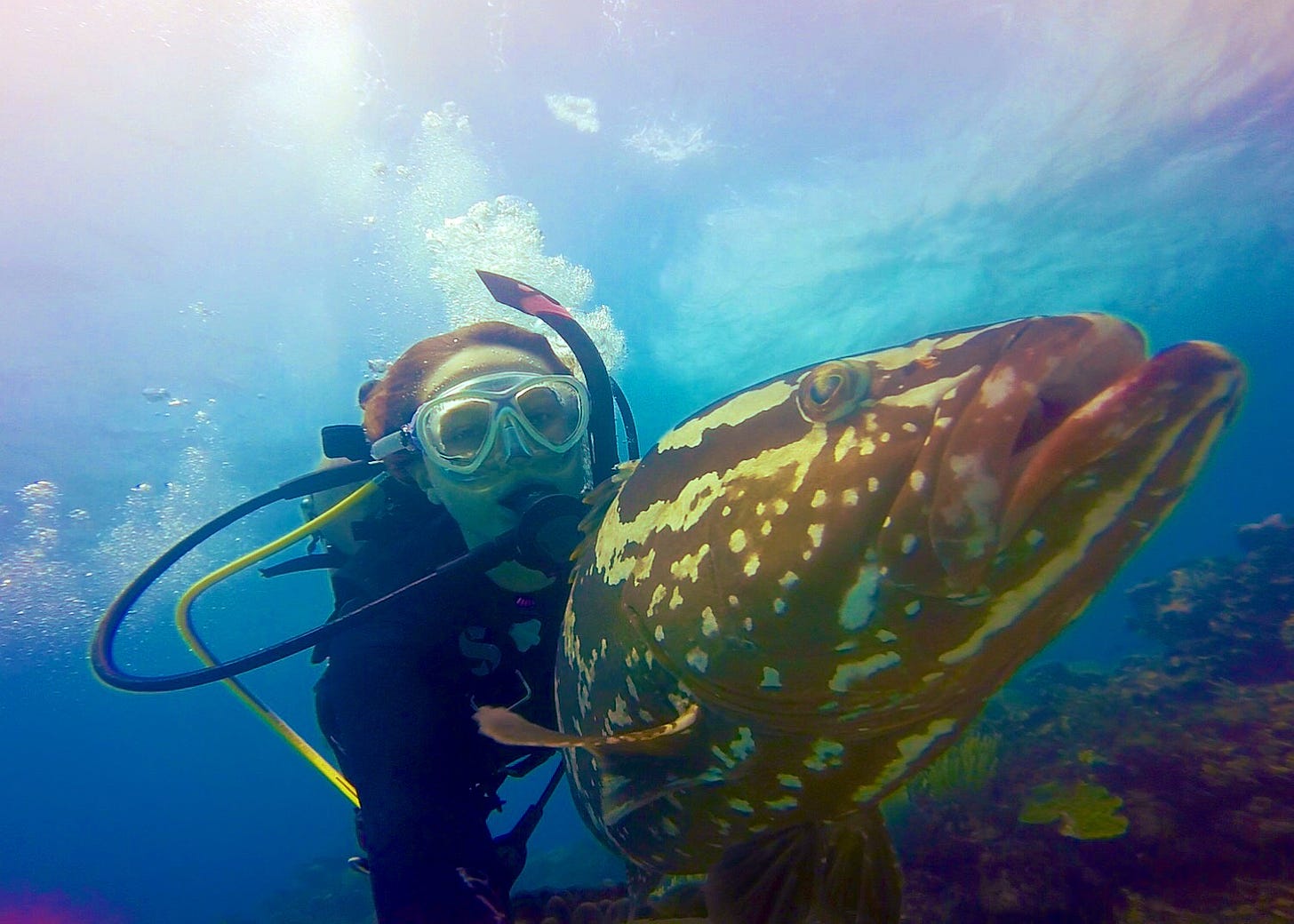 A woman in scuba gear poses for a photo with a grouper.