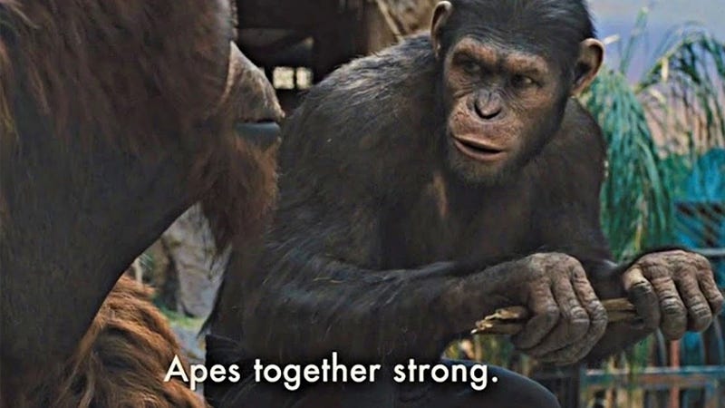 Apes Together Strong | Know Your Meme
