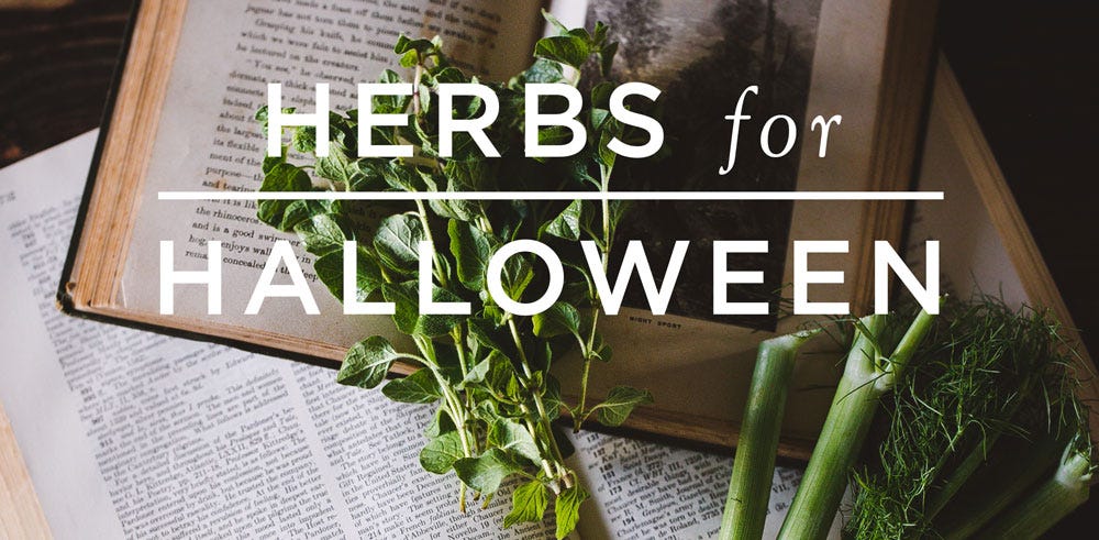 Halloween Herbs