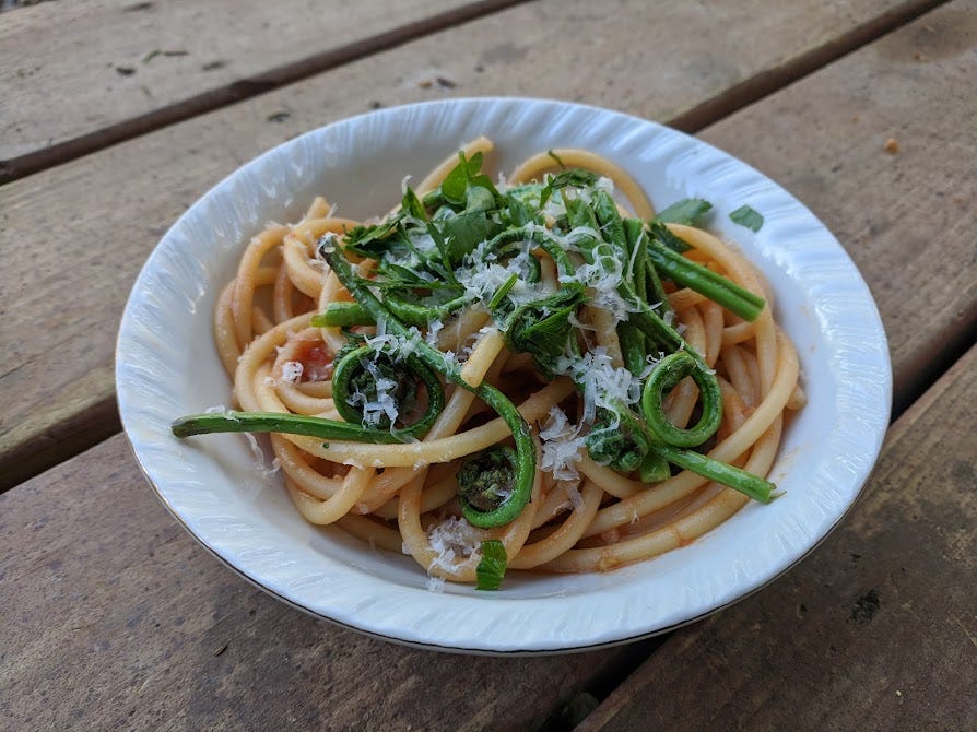 a bowl of bucatini noodles with roasted fiddleheads and fresh tomato sauce