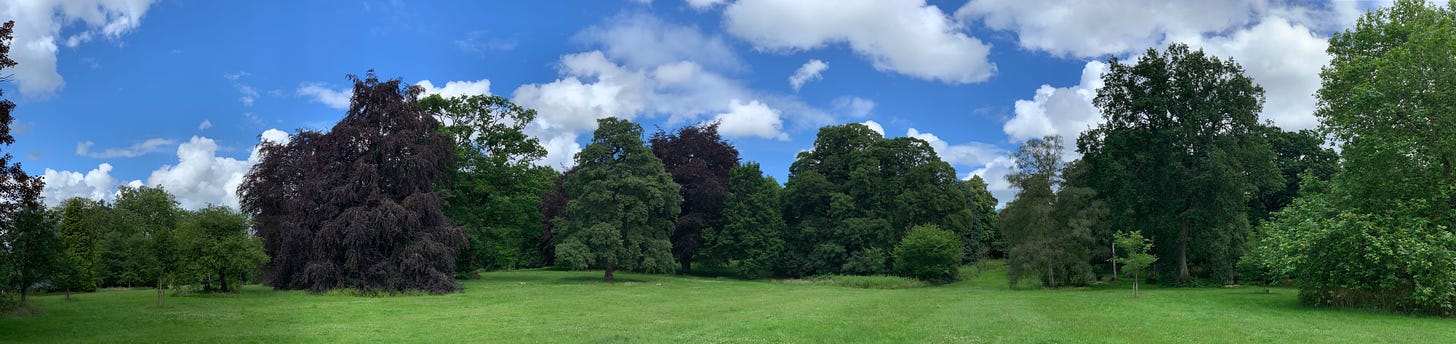 A freshly mown park with trees in the background and a blue sky