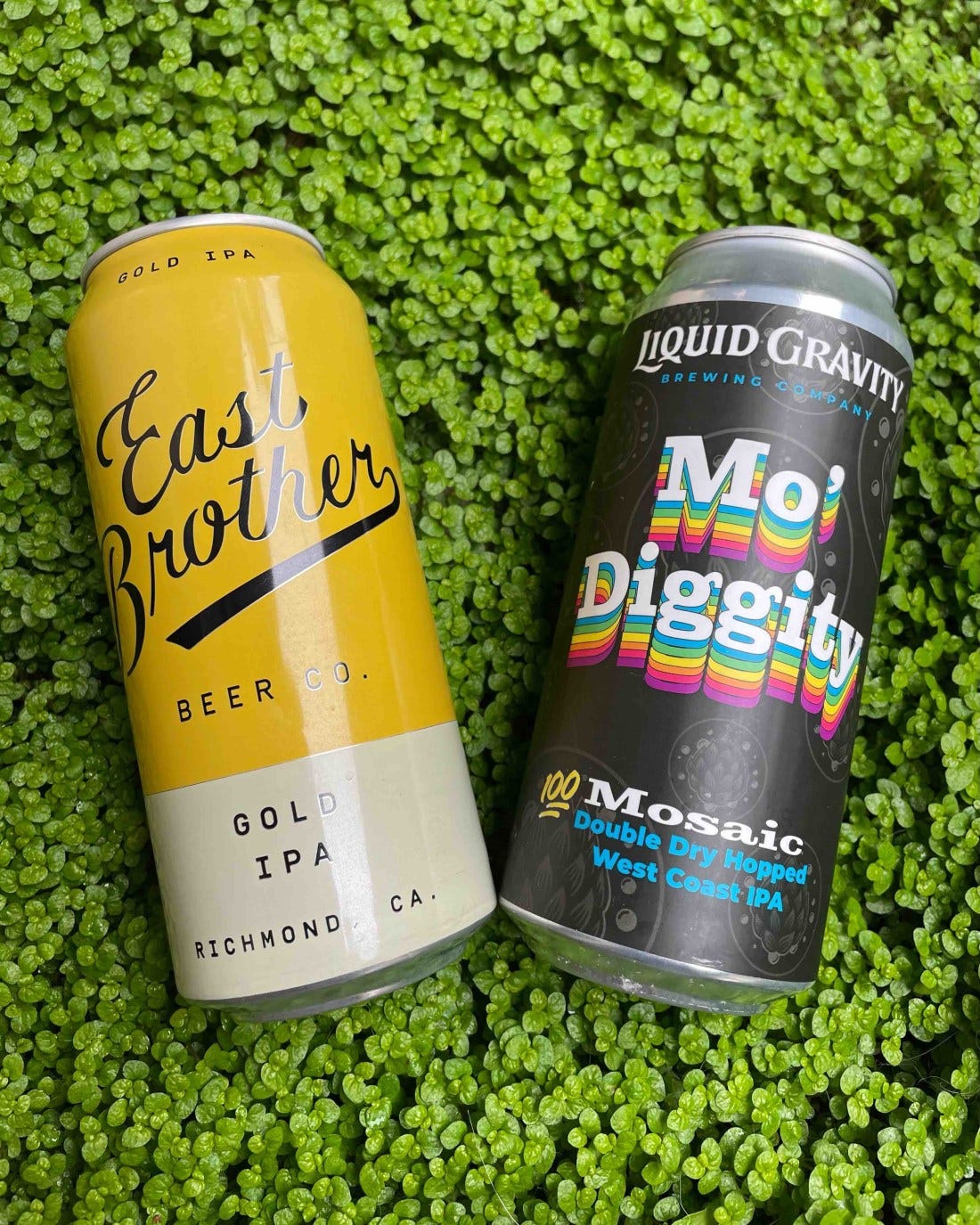 East Brother Brewing Gold IPA and Liquid Gravity Mo Diggity DDH IPA
