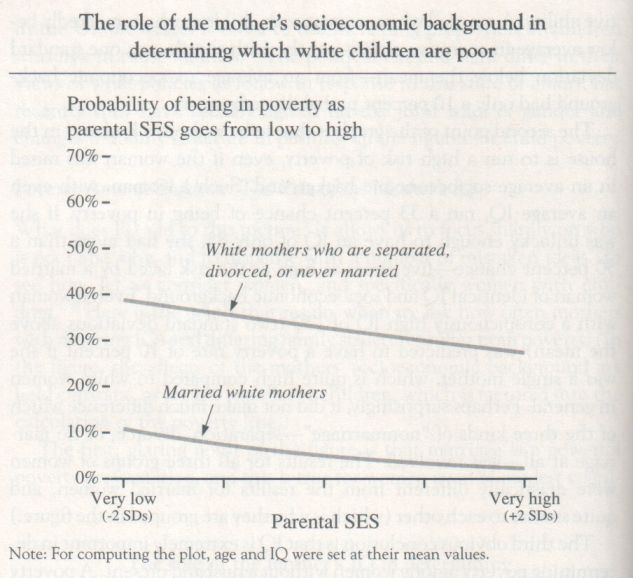 the-bell-curve-1994-herrnstein-and-murray-graph-p-140