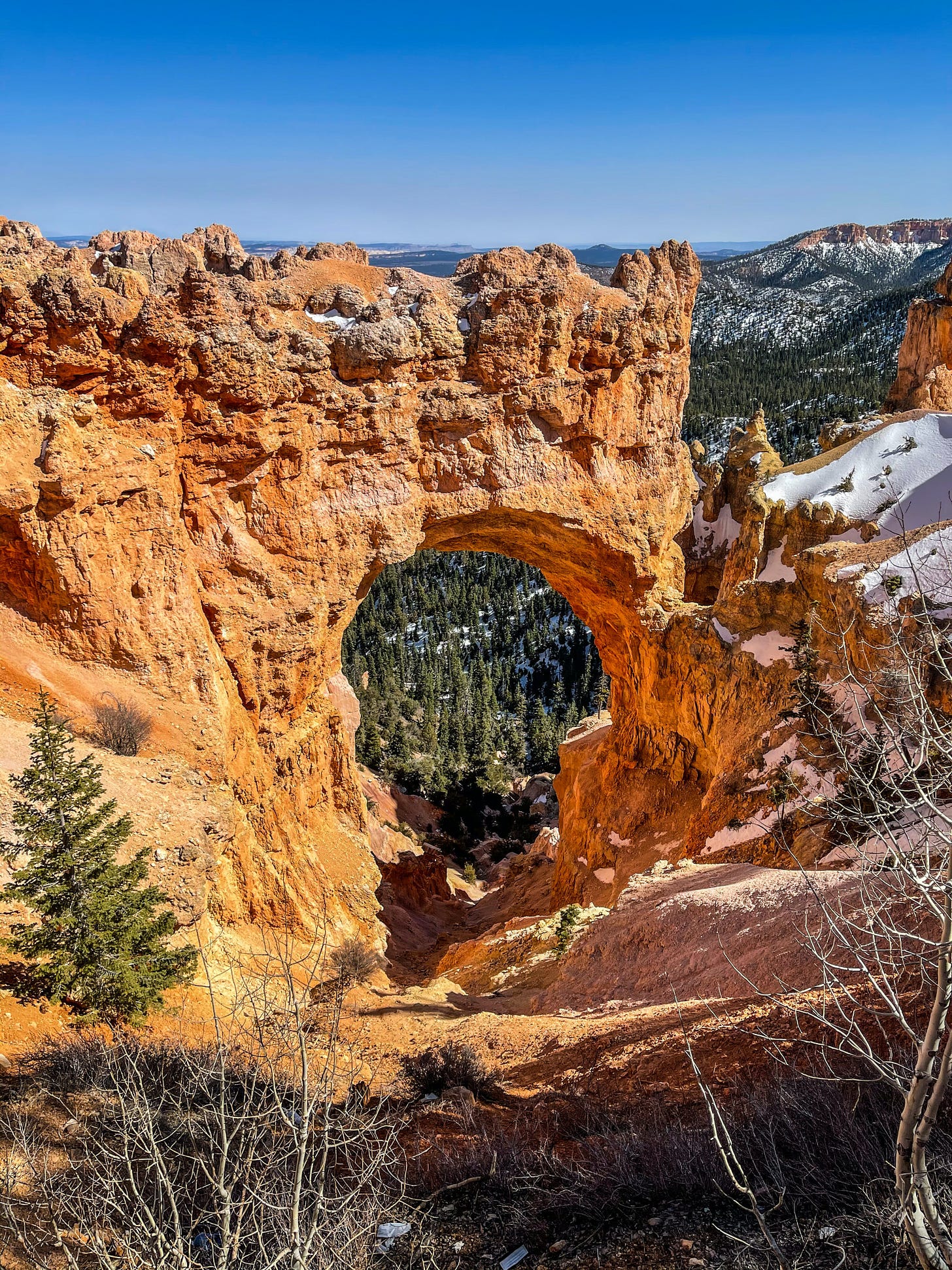 rock arch in a national park