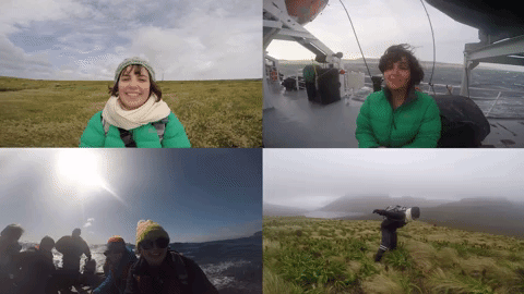 A series of four-second video clips, made into a .gif file. The top left is a selfie of Louise outside on an island, holding up their hand and gesturing around. The top right is of Louise of a ship, being blown around by high winds. The bottom left is Louise on a zodiac boat, out on the ocean,. The bottom right is footage of Louise on Mount Honey, fighting against strong winds to stay upright.