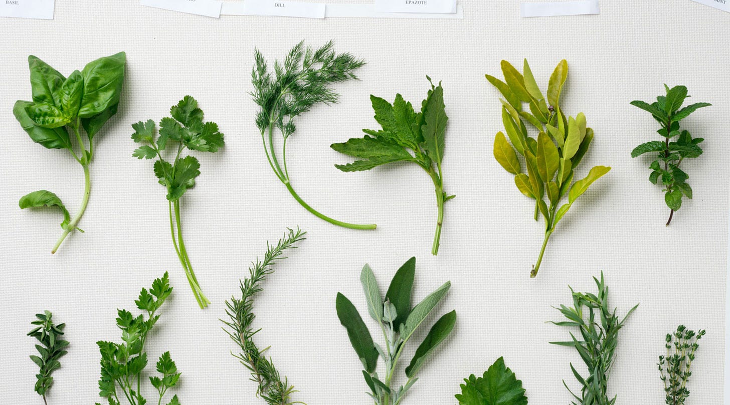 Cooking with Fresh Herbs - Sunset Magazine