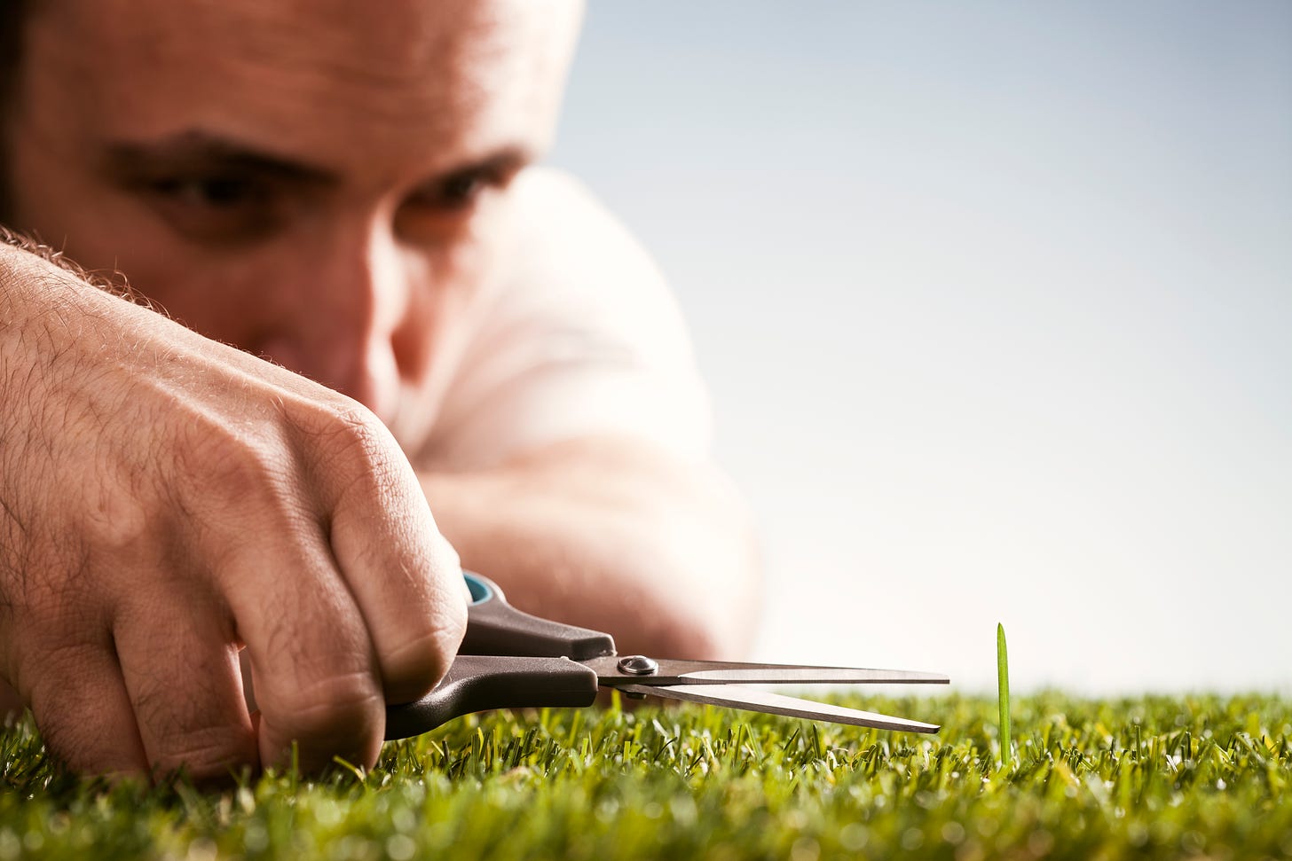 A man with hairy knuckles cutting a single blade of grass with scissors