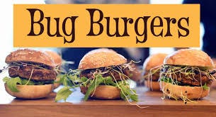 Stop eating hamburgers, start eating bug burgers" – notes from the African  Conference on Edible Insects - SEI