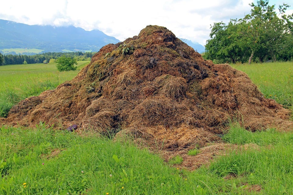 Dung, Compost Heap, Assembly Point, Damn, Waste