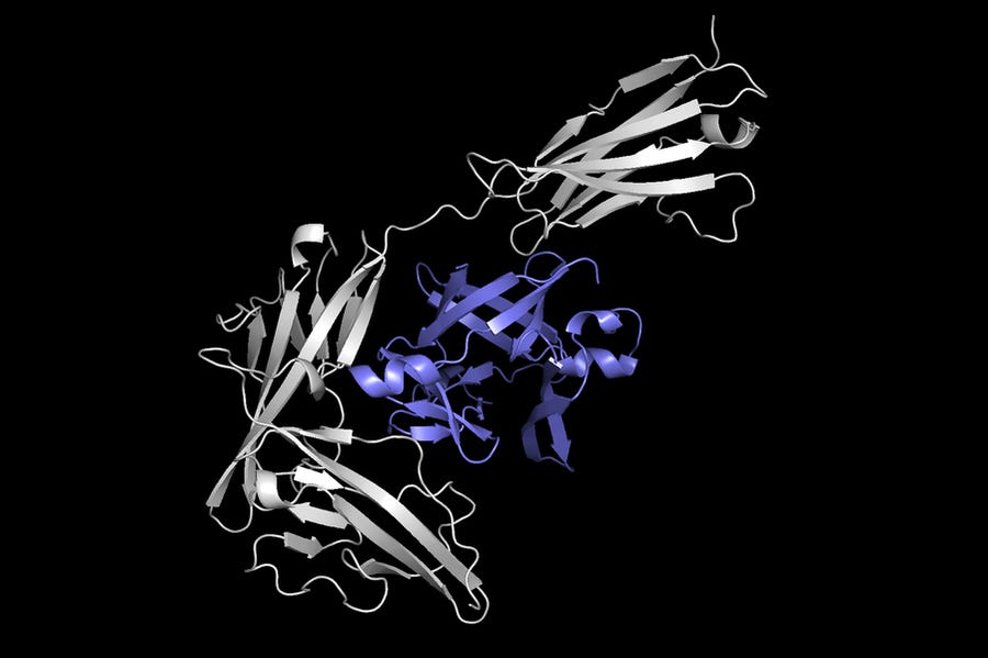 proteins docking to form complex