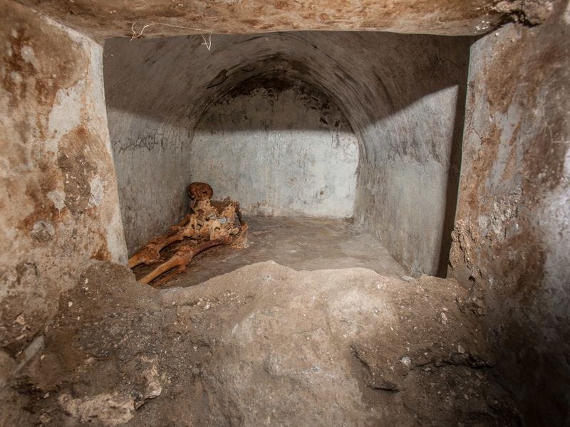 Skeleton found in Pompeii