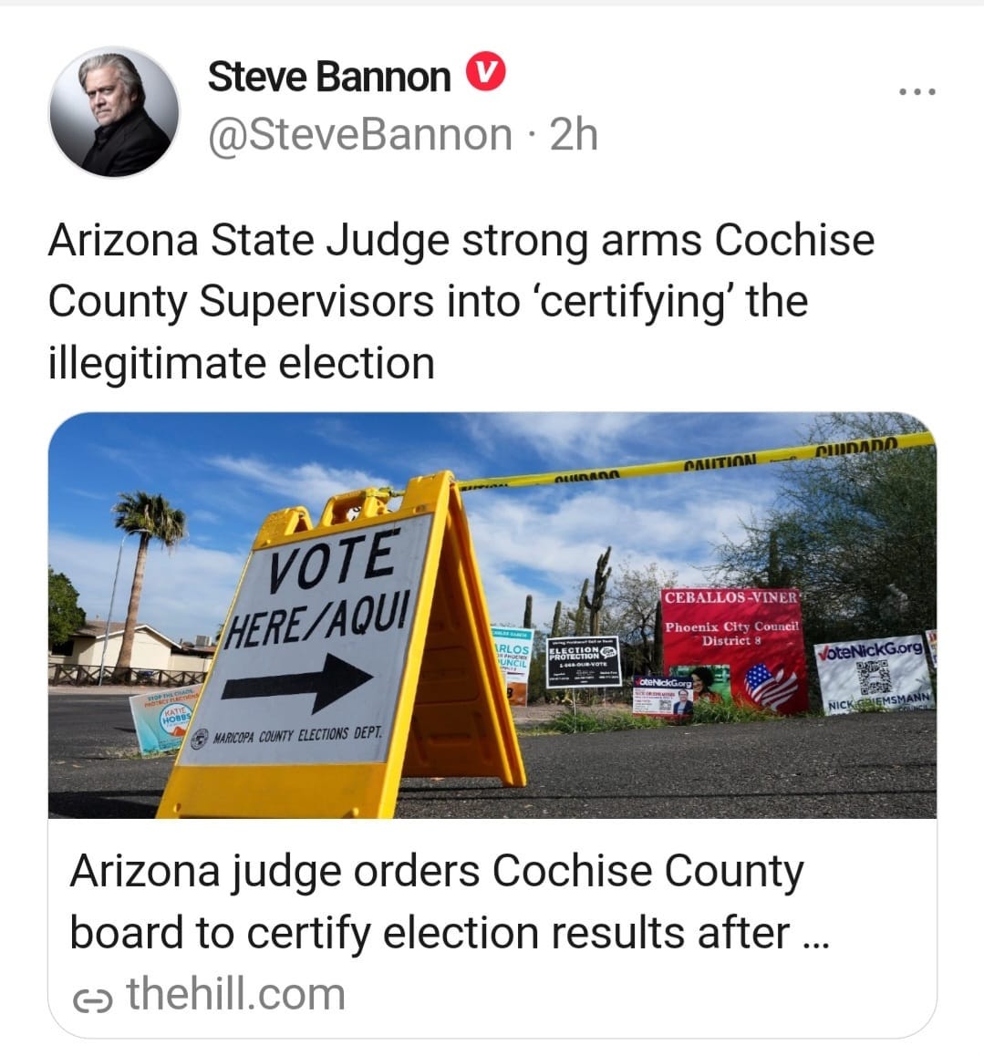 May be an image of 1 person, outdoors and text that says 'Steve Bannon @SteveBannon 2h Arizona State Judge strong arms Cochise County Supervisors into 'certifying' the illegitimate election VOTE HERE /AQUI CEBALLOS-VINER ouncil MARCOPA COUNTY ELECTIONS DEPT. Arizona judge orders Cochise County board to certify election results after... ૯ thehill.com'