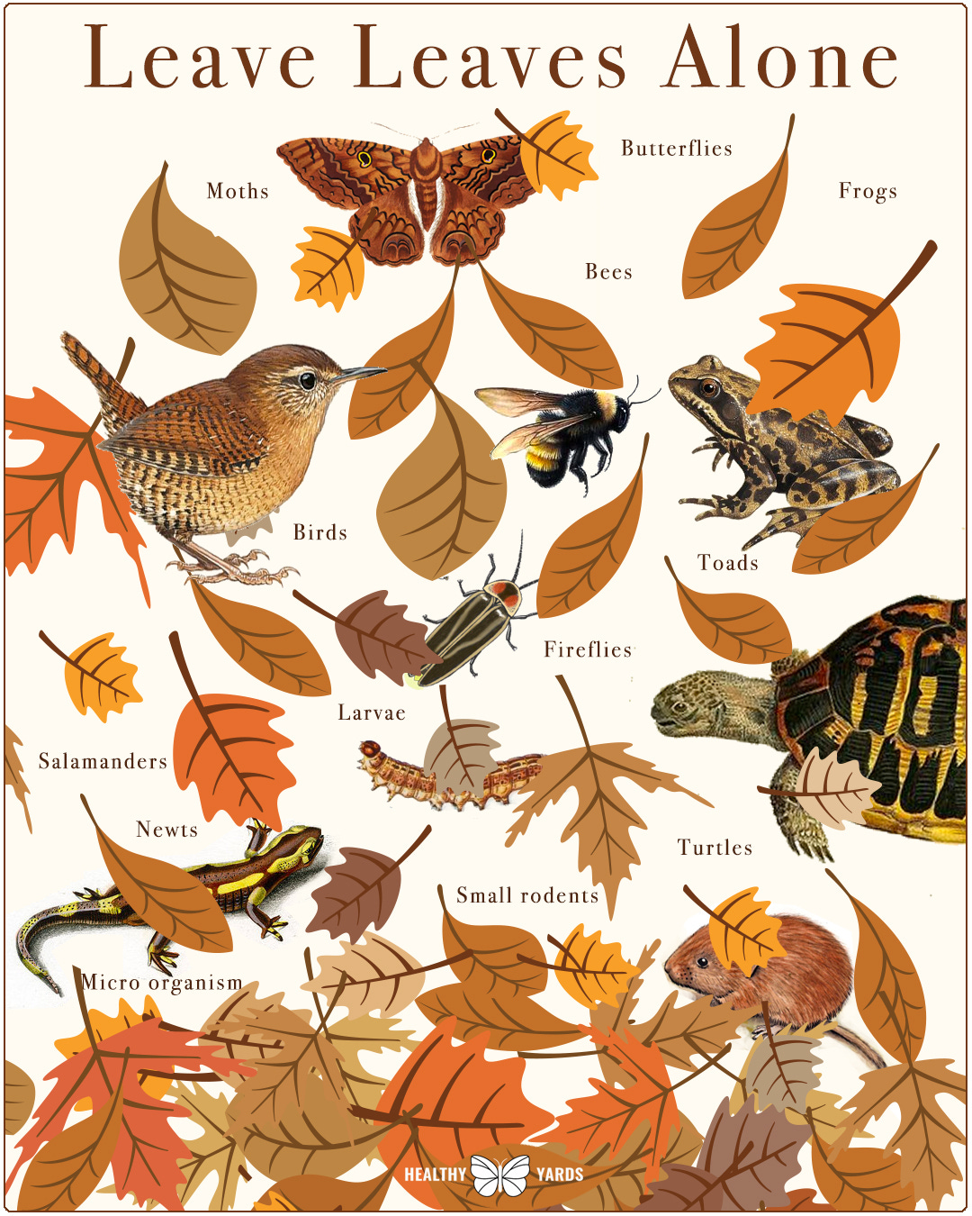 May be an image of nature and text that says 'Leave Leaves Alone Moths Butterflies Frogs Bees Birds Toads Fireflies Larvae Salamanders Newts mAR Turtles Small Smallrodents rodents Micro organism HEALTHY YARDS'