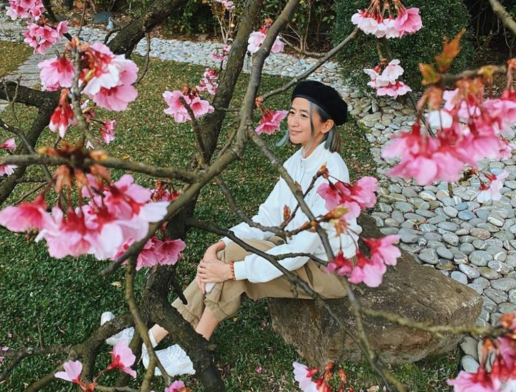 Branches filled with clusters of pink cherry blossoms in the foreground, Yo-Yo wearing a white high collar top and black beret sits on a rock looking contemplatively off camera. There is a neat line of shrubs and a Japanese rock lined garden in the background.