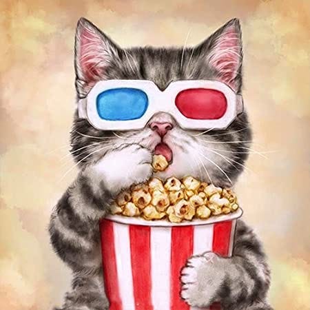 Amazon.com: Popcorn Cat Diamond Painting by Numbers - MaiYiYi 5D Full Round  Diamond Painting Glasses Cat Diamond Painting Cross Stitch Kit Pet Cat  Diamond Painting Set for Adult Kids Wall Art Decor (