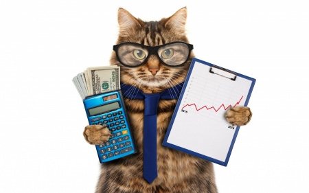 The economist - Cats & Animals Background Wallpapers on Desktop Nexus  (Image 2094723)